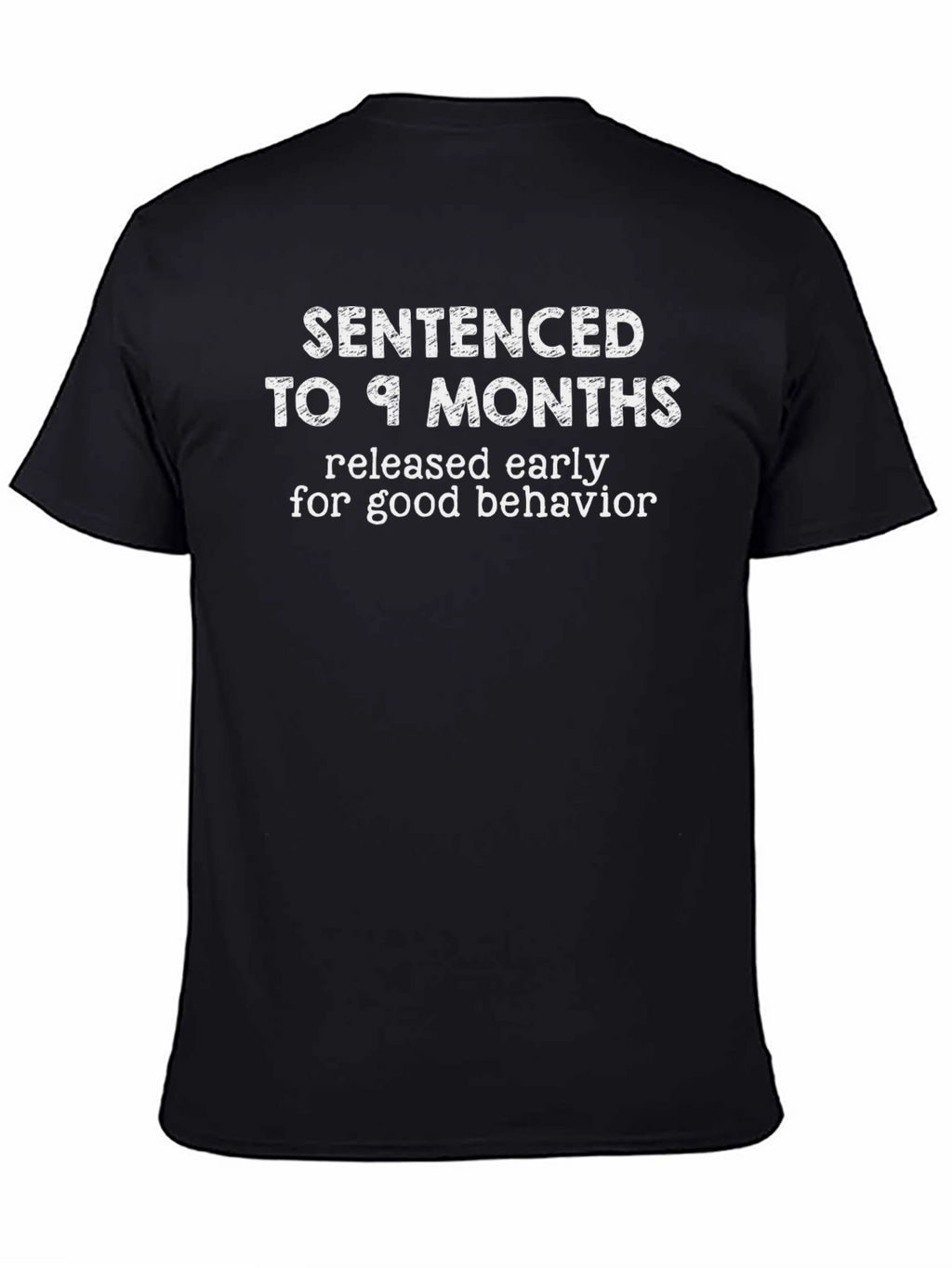 Sentenced to 9 Months Mens Graphic T-Shirt