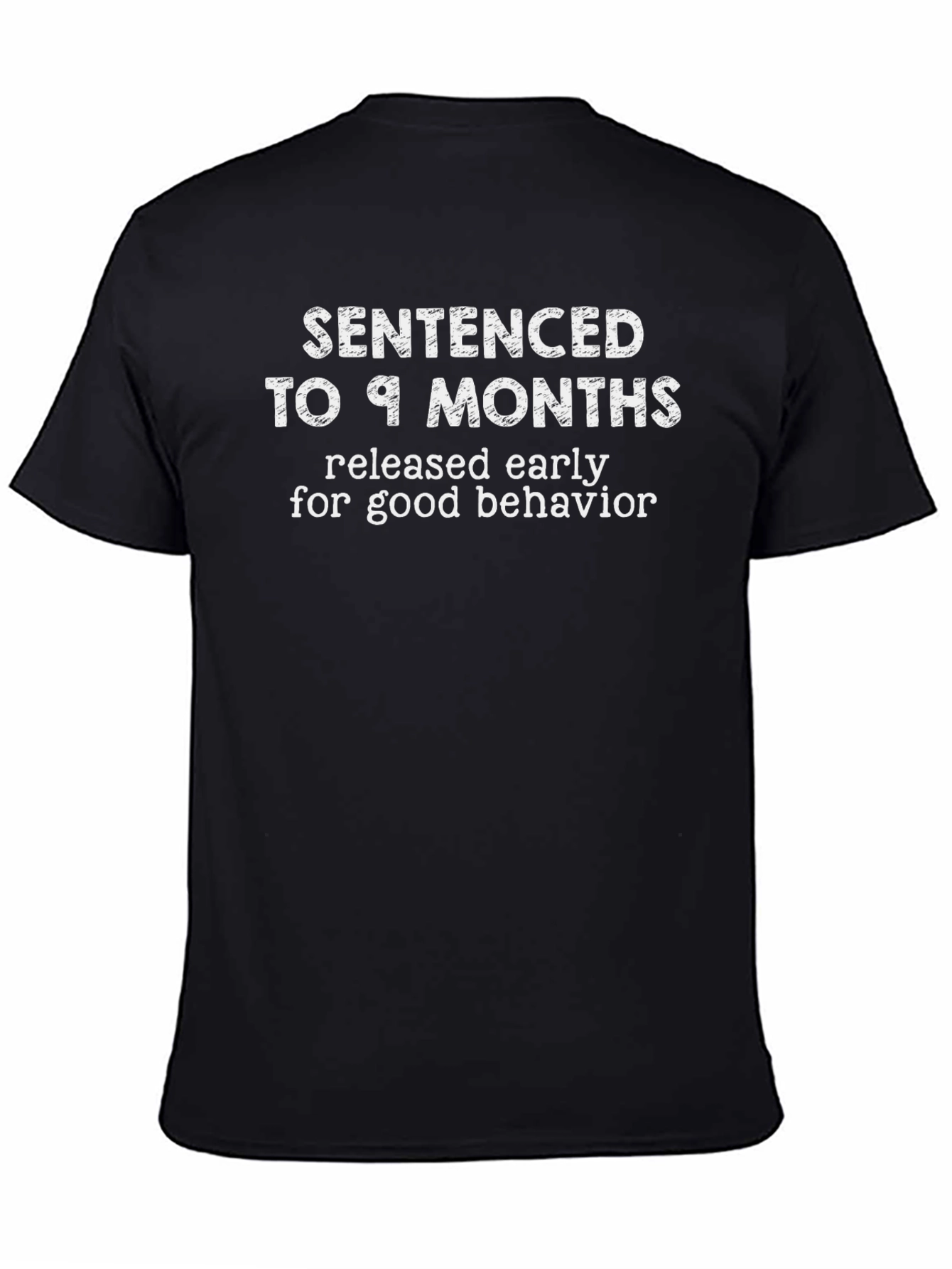 Sentenced to 9 Months Mens Graphic T-Shirt