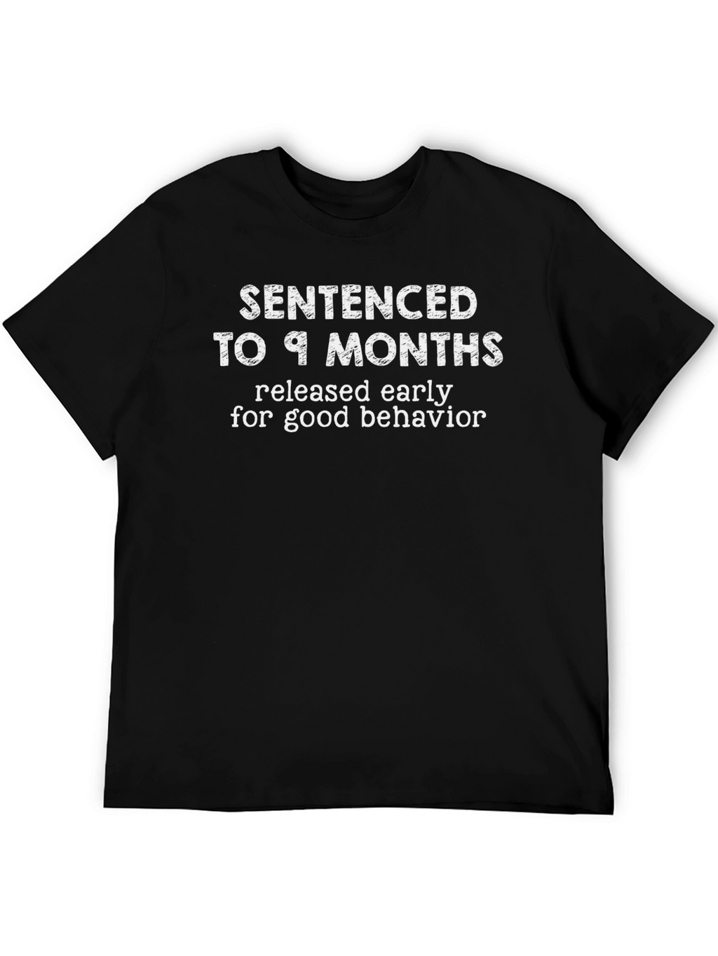 Sentenced to 9 Months Mens Graphic T-Shirt