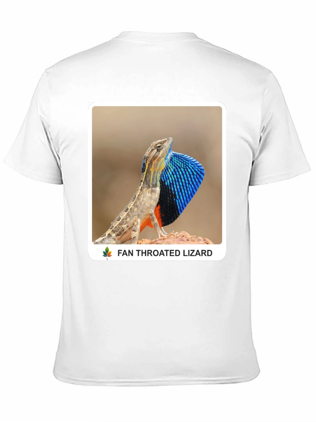 Fan Throated Lizard Graphic T-Shirt