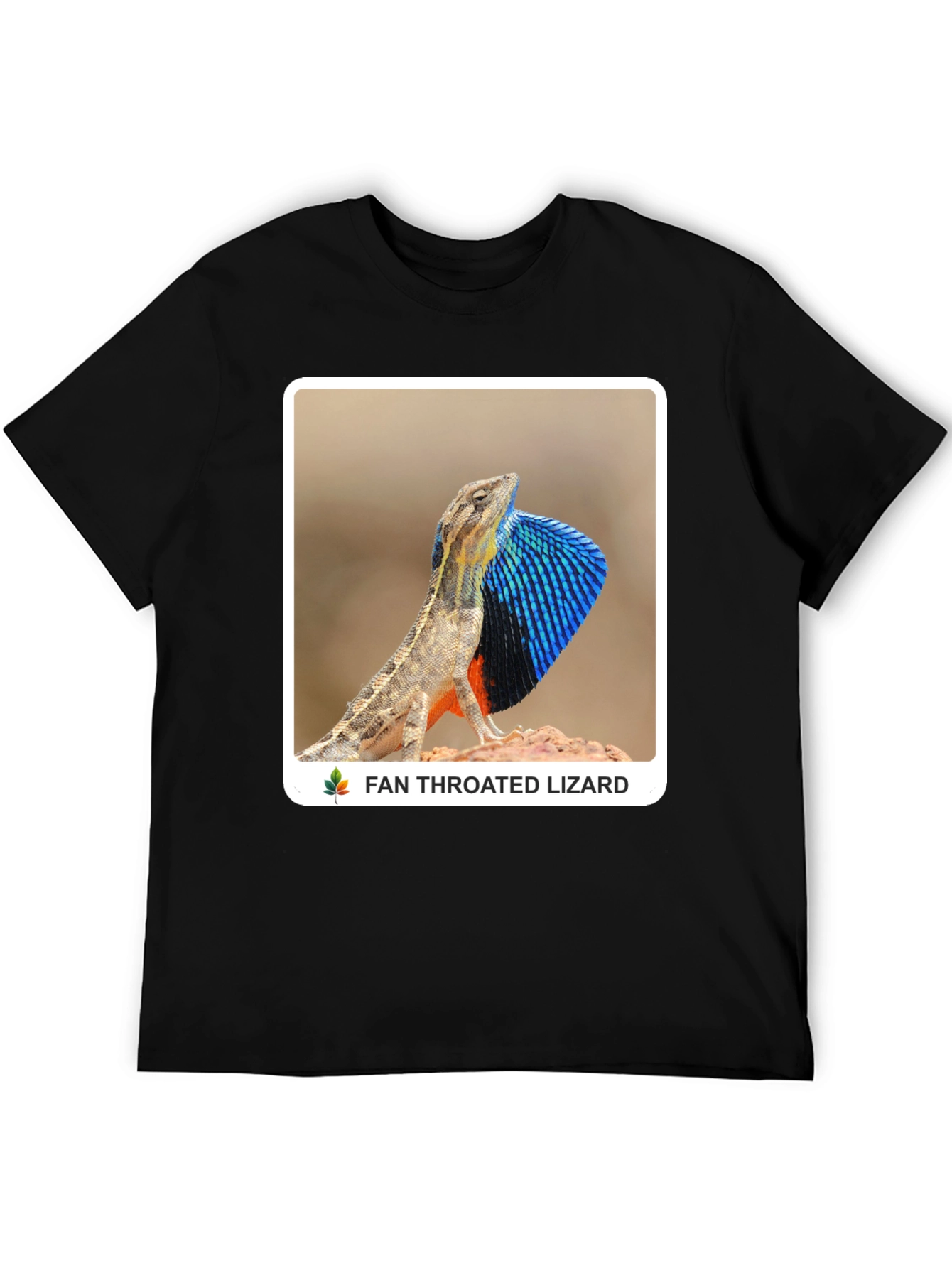 Fan Throated Lizard Graphic T-Shirt