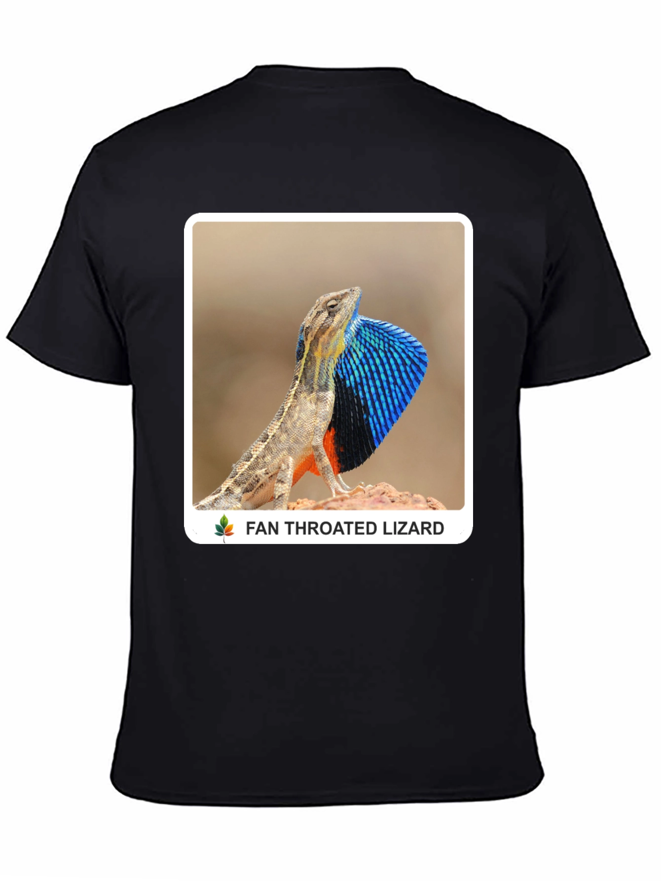 Fan Throated Lizard Graphic T-Shirt