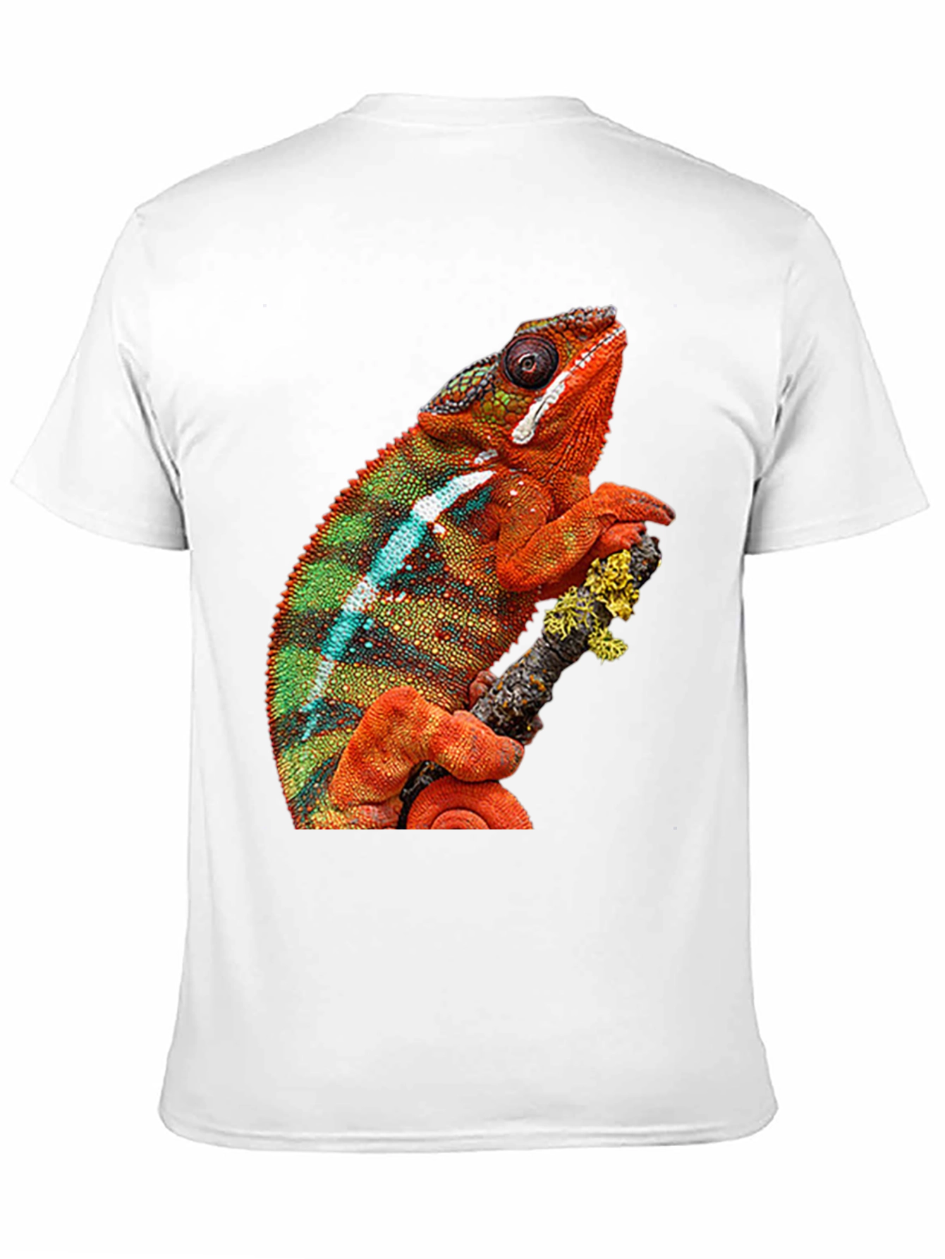 Chameleon Graphic Print Crew Neck T-Shirt