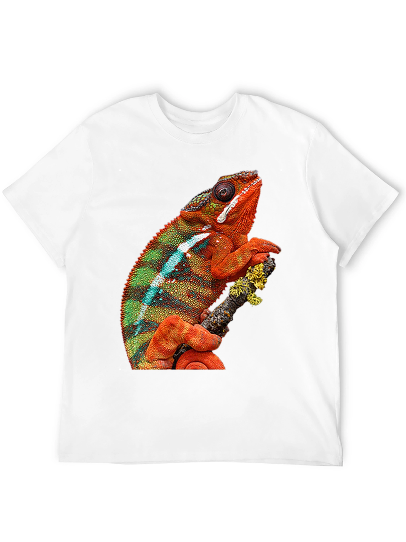 Chameleon Graphic Print Crew Neck T-Shirt