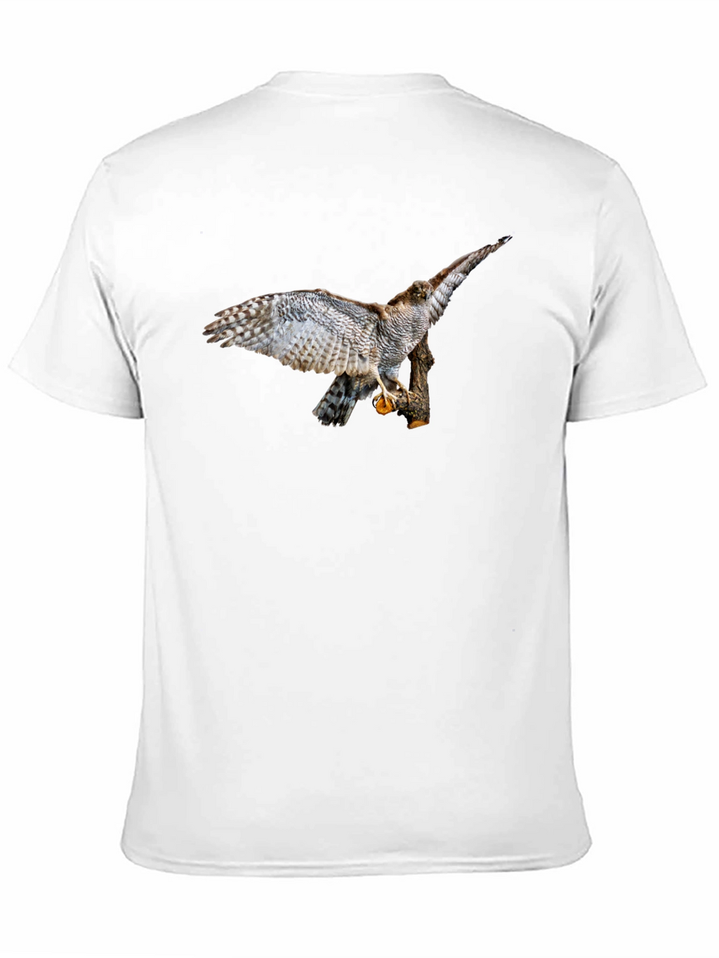 Cool Black T-Shirt with Bird of Prey Graphic Print