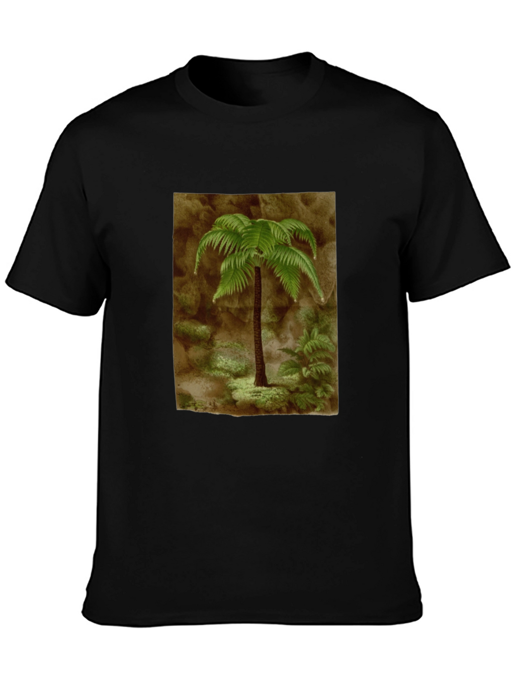 Fern Graphic Black T-Shirt