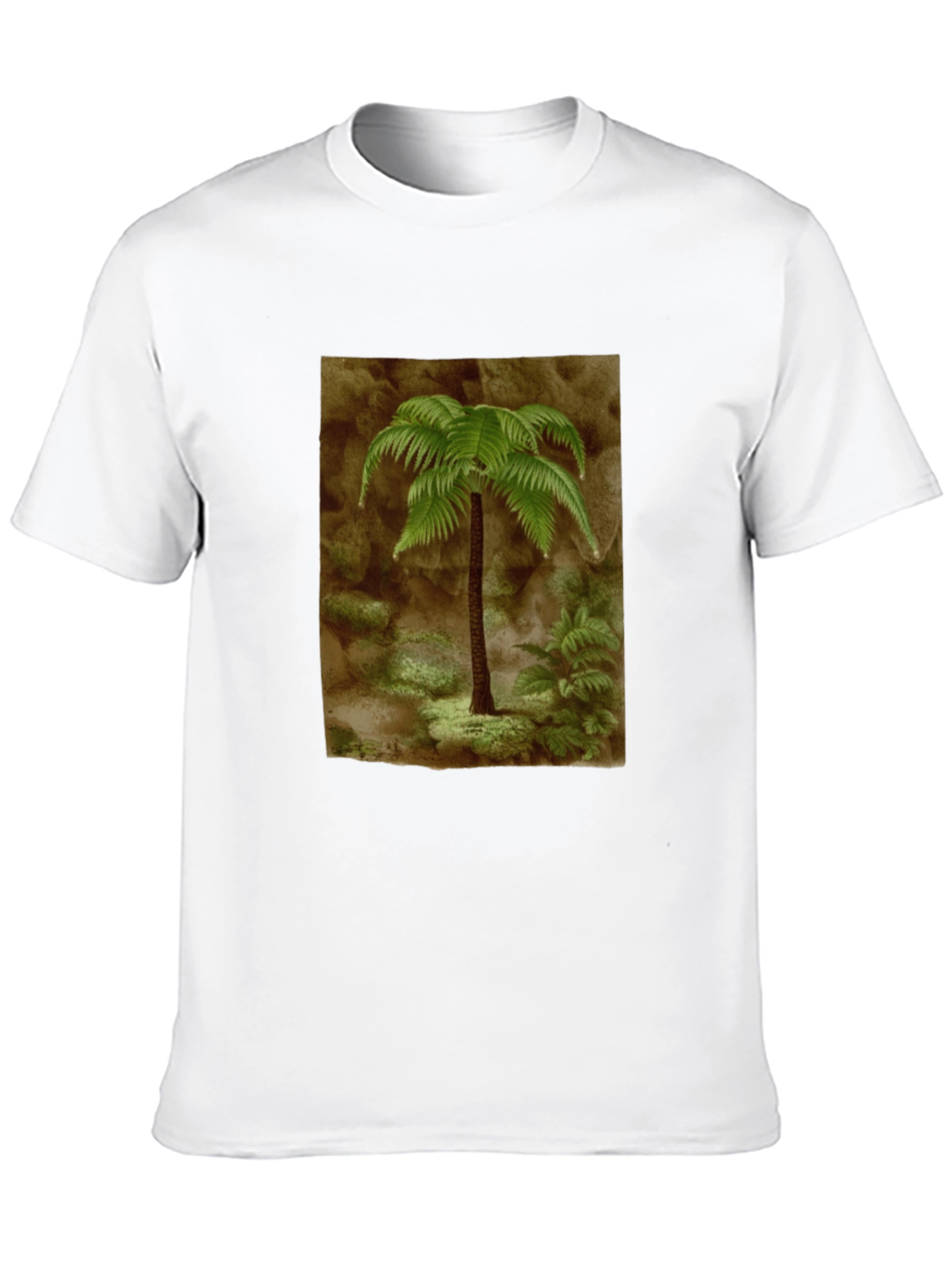 Fern Graphic Black T-Shirt