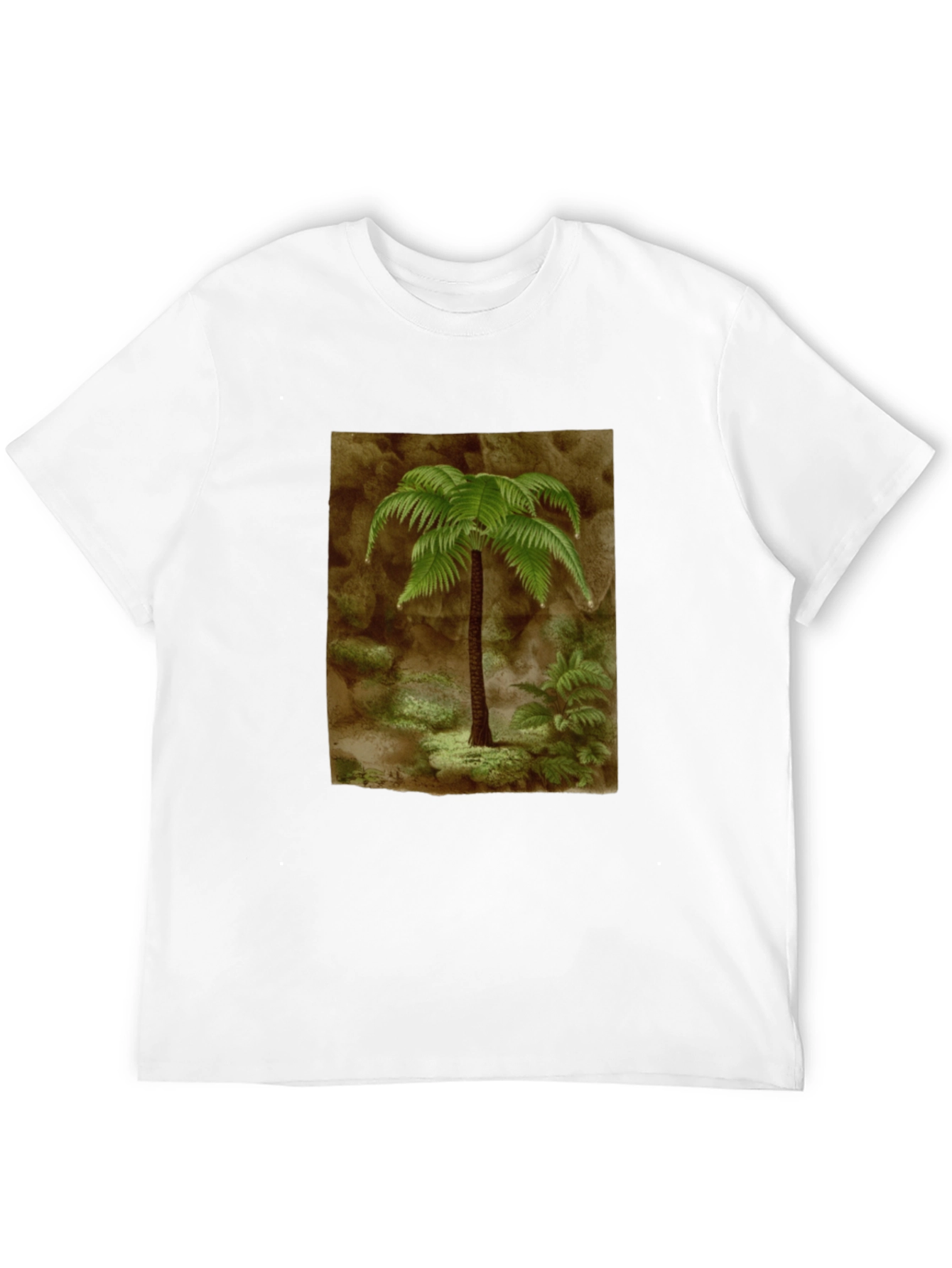 Fern Graphic Black T-Shirt