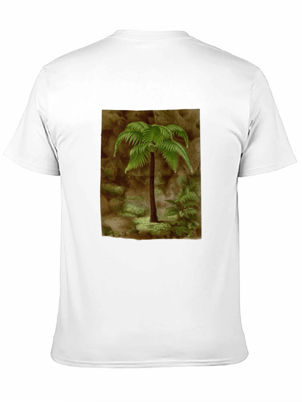 Fern Graphic Black T-Shirt