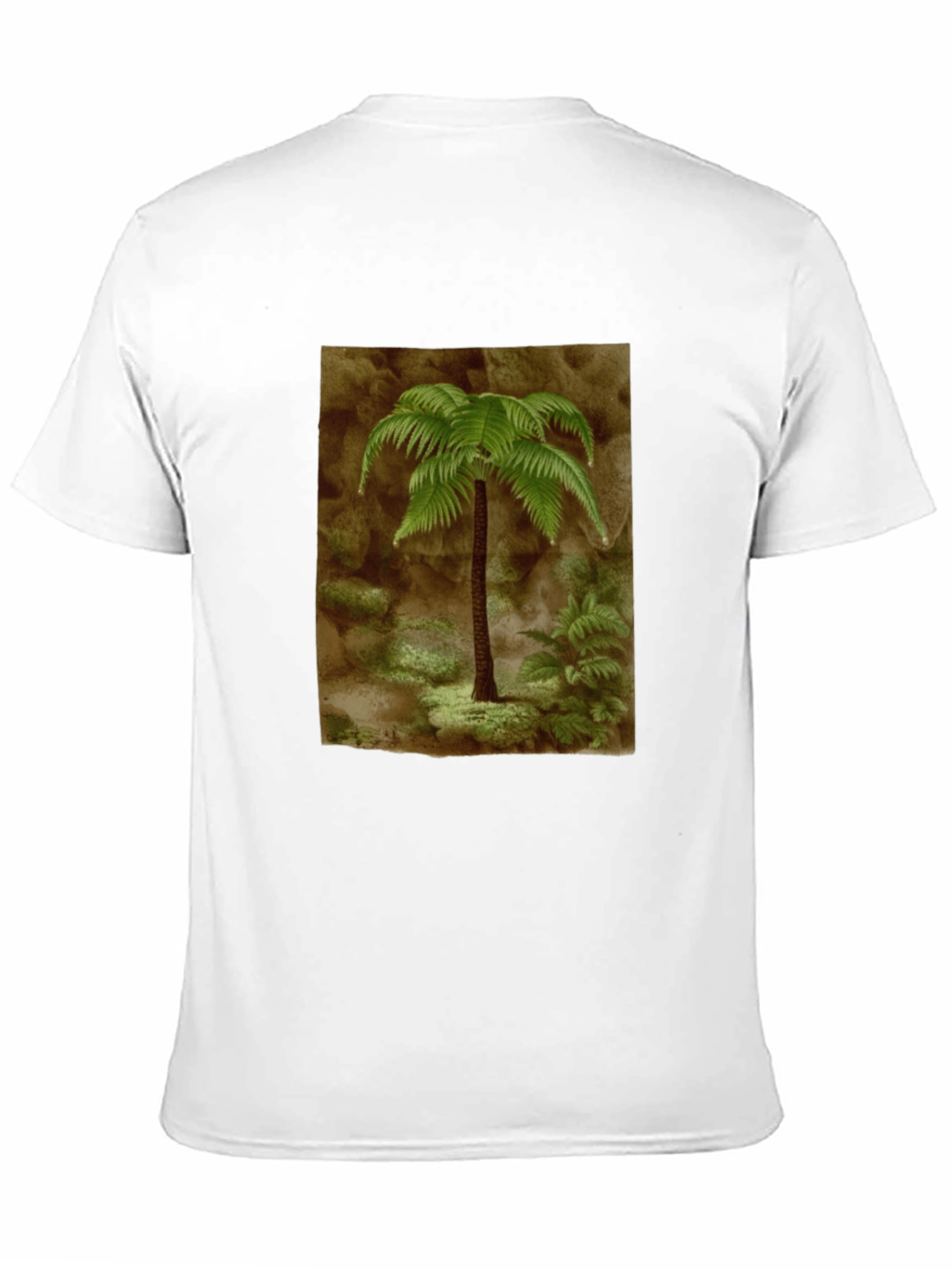 Fern Graphic Black T-Shirt