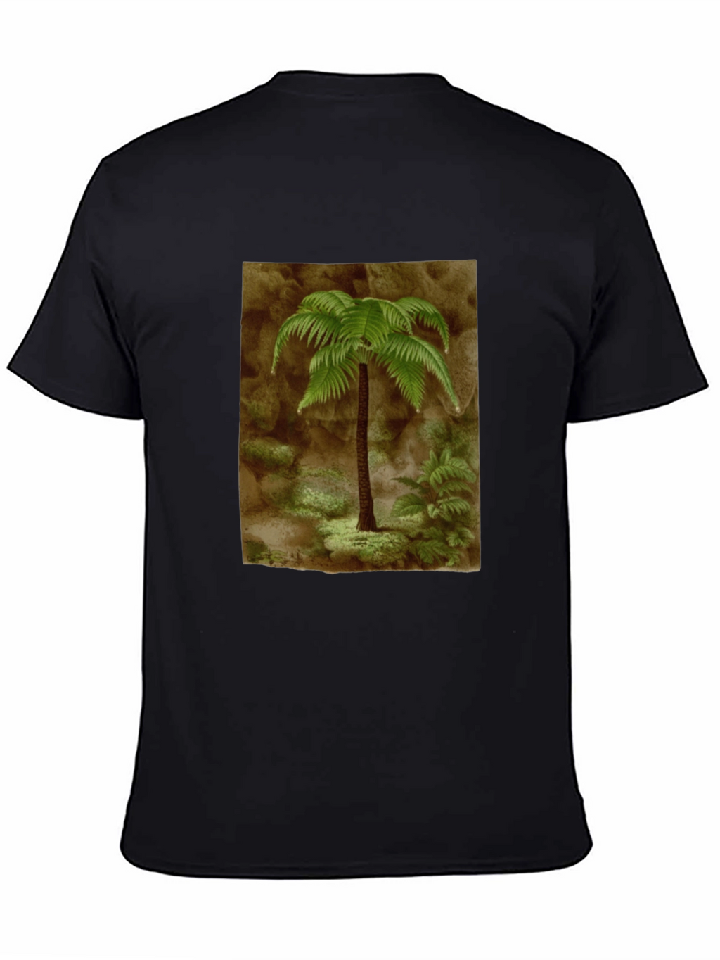 Fern Graphic Black T-Shirt