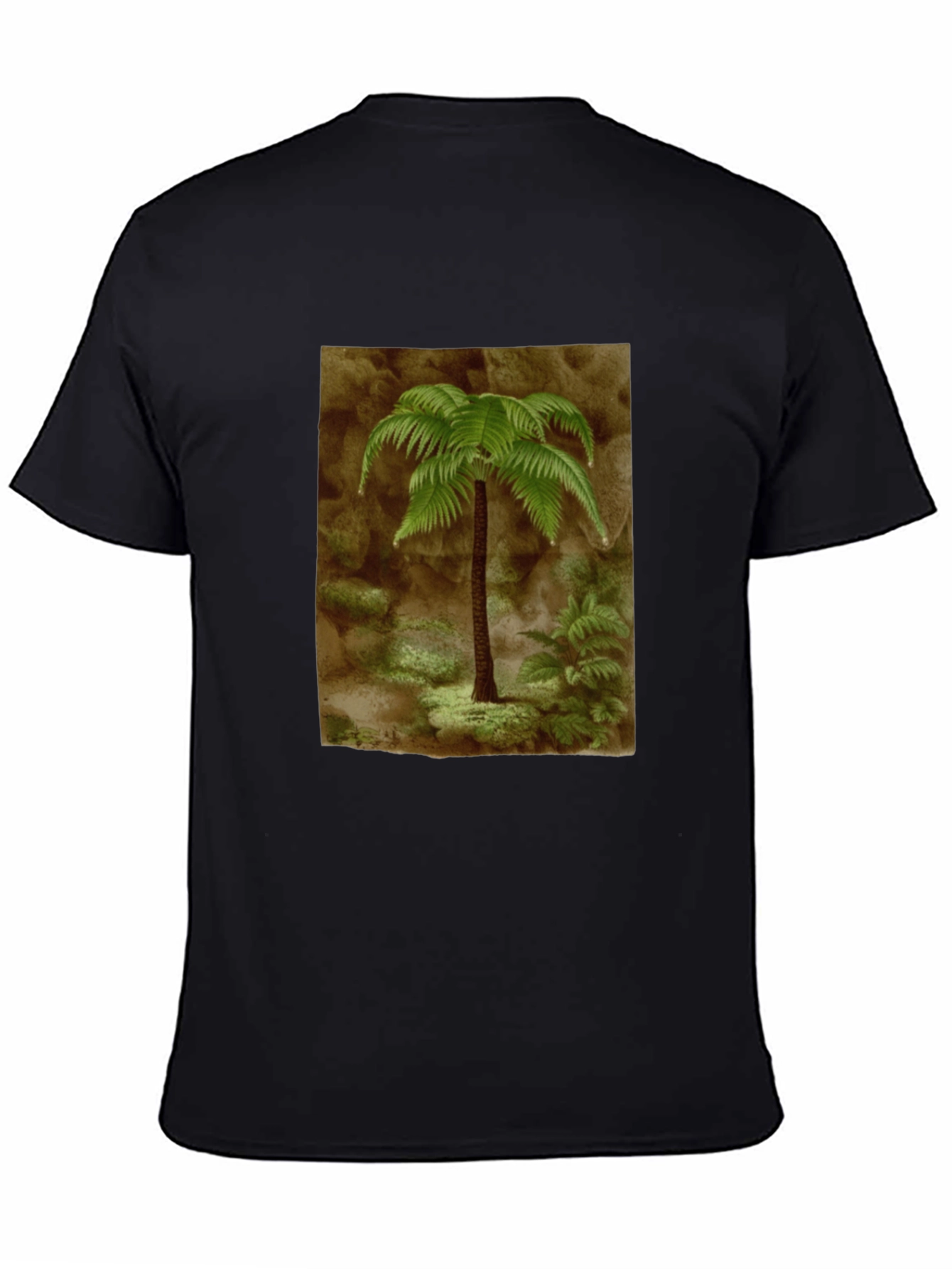 Fern Graphic Black T-Shirt