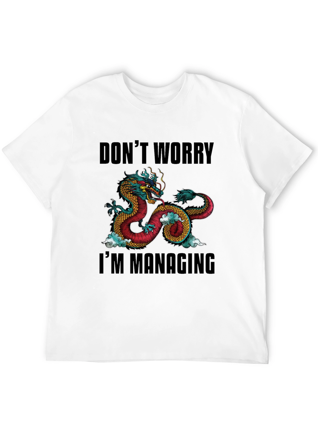Dont Worry Im Managing Dragon Graphic T-Shirt