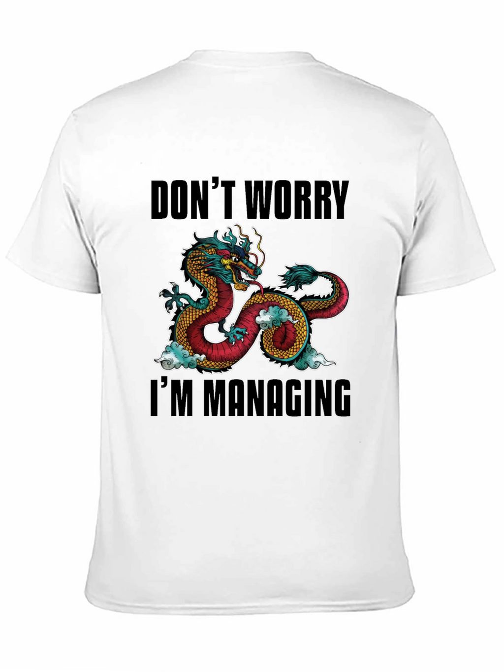 Dont Worry Im Managing Dragon Graphic T-Shirt