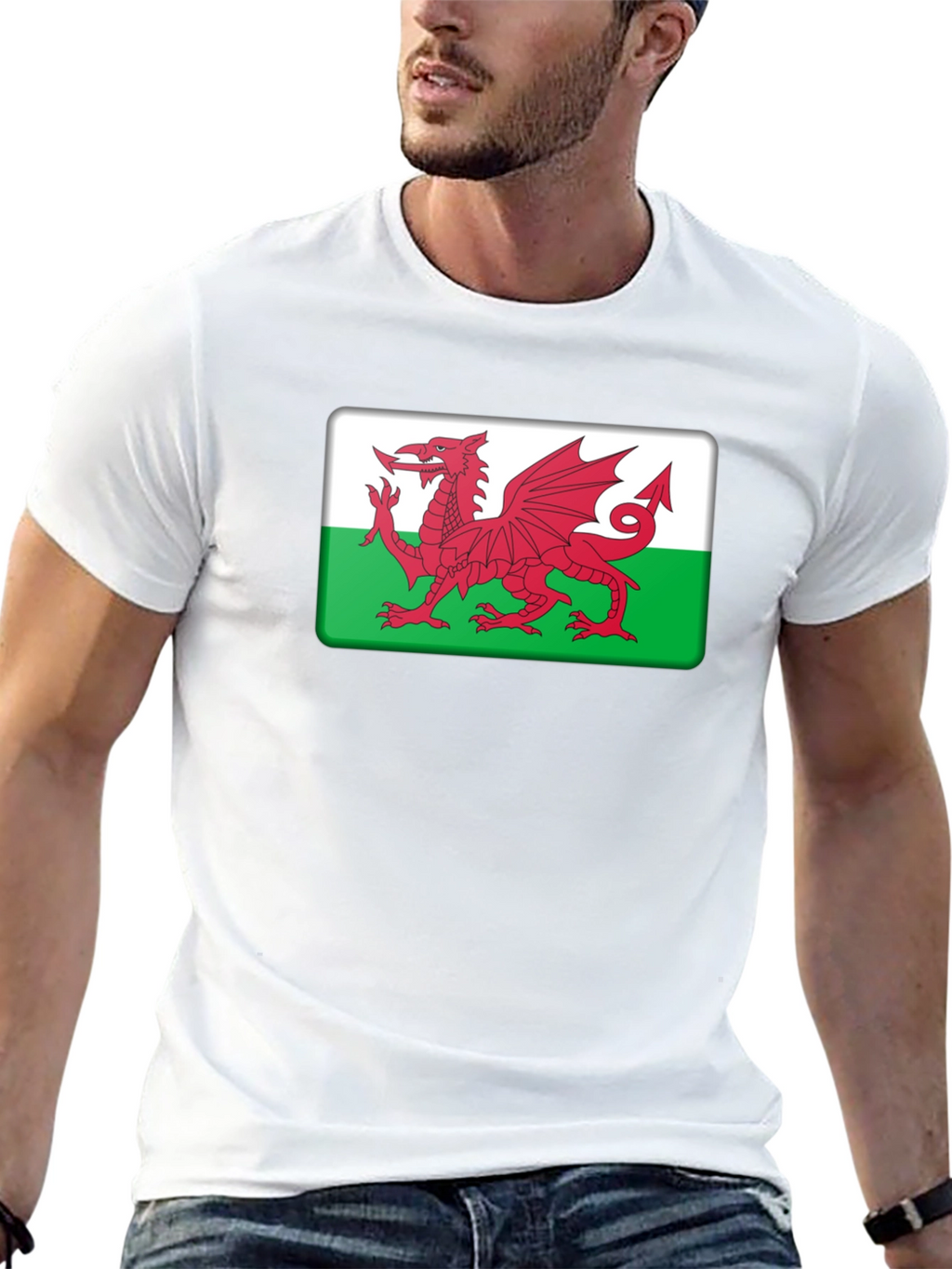 Welsh Dragon Flag T-Shirt Wales Cymru Pride