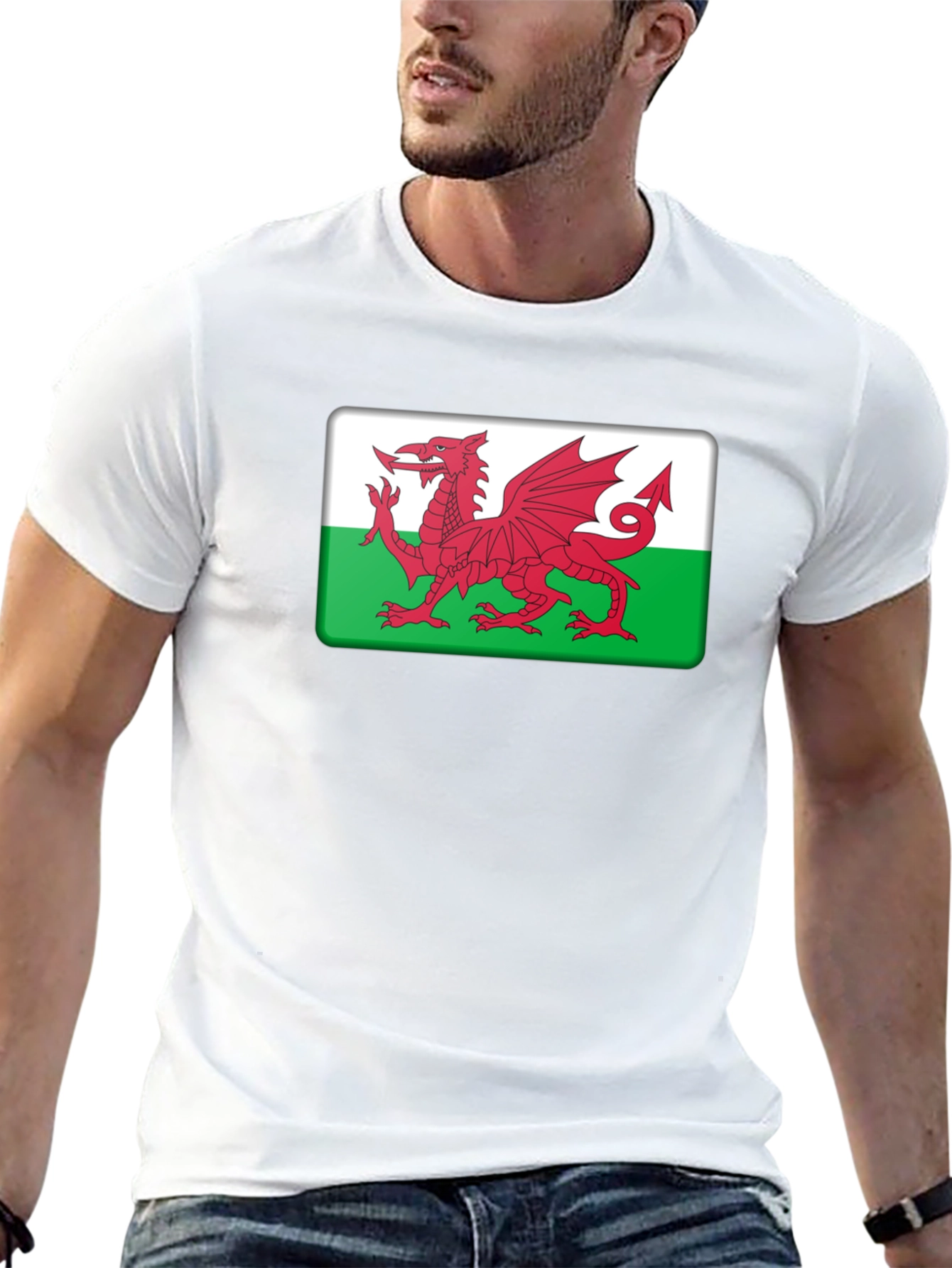 Welsh Dragon Flag T-Shirt Wales Cymru Pride