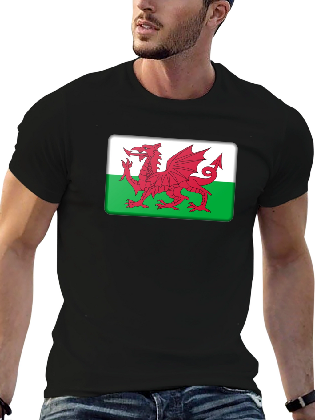 Welsh Dragon Flag T-Shirt Wales Cymru Pride
